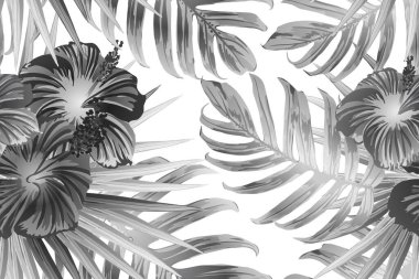 Siyah beyaz egzotik desen. Canavar yaprakları ve amber çiçekleri yaz baskısı. Doymuş büyük çiçekli mayo izi. Yatay romantik vahşi vektör egzotik fayans. Aşırı doğal botanik tasarımı.