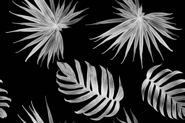 Siyah beyaz egzotik desen. Canavar yaprakları ve amber çiçekleri yaz baskısı. Hawaii tişörtü ve mayo fayansı. Yatay Kaliforniya doğal doku tasarımı. Güzel bahar botanik tasarımı.