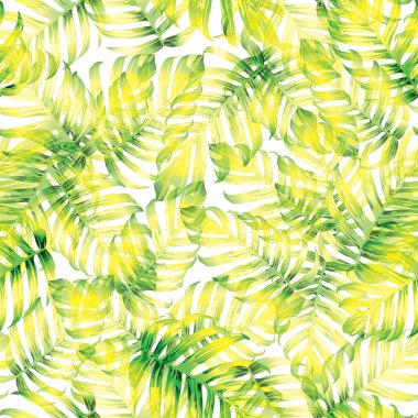 Palmiye Canavarı Egzotik Kusursuz Desen. Yeşil Beyaz Tropikal Yaz Arkaplanı. Plaj Ormanı Mayo Tasarımı Yaprakları. Lei Uyum. Klasik Hawai baskısı. Tropik Tekstil dokusu. Botanik fayansları.