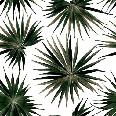 Palm Monstera Kusursuz Düzen. Beyaz Yeşil Tropikal Yaz Arkaplanı. Plaj Ormanı Mayo Tasarımı Yaprakları. Lei Uyum. Retro Hawai baskısı. Egzotik doku. Botanik döşemesi.