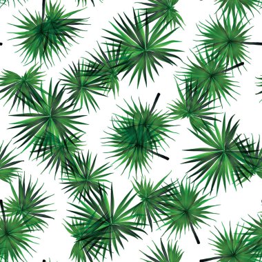 Palm Monstera Kusursuz Düzen. Beyaz Yeşil Tropikal Yaz Arkaplanı. Plaj Ormanı Mayo Tasarımı Yaprakları. Lei Uyum. Retro Hawai baskısı. Egzotik doku. Botanik döşemesi.