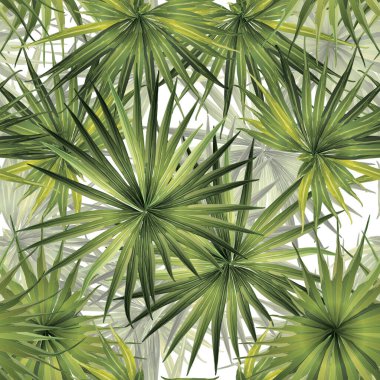 Palm Monstera Kusursuz Düzen. Yeşil Beyaz Tropikal Yaz Arkaplanı. Plaj ve Orman Yaprakları Mayo Tasarımı için. Lei Uyum. Klasik Hawai baskısı. Tropik Tekstil dokusu. Botanik döşemesi.