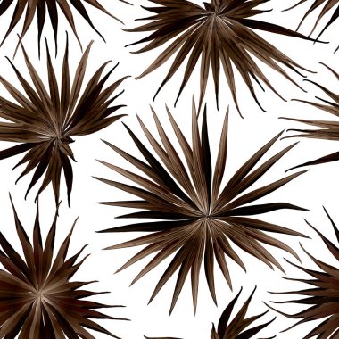 Palm Monstera Kusursuz Düzen. Mor Tropik Yaz Arkaplanı. Plaj Ormanı Mayo Tasarımı Yaprakları. Lei Uyum. Retro Hawai baskısı. Tropik Tekstil dokusu. Botanik döşemesi.