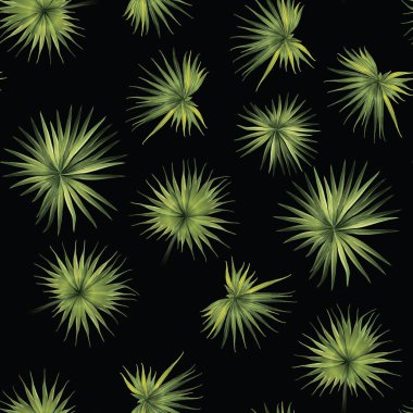 Palm Monstera Kusursuz Düzen. Yeşil Siyah Tropikal Yaz Arkaplanı. Plaj Ormanı Mayo Tasarımı Yaprakları. Lei Uyum. Klasik Hawai baskısı. Egzotik doku. Botanik fayansları.