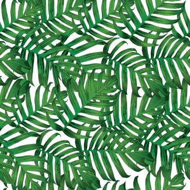 Palm Monstera Kusursuz Düzen. Beyaz Yeşil Tropikal Yaz Arkaplanı. Plaj Ormanı Mayo Tasarımı Yaprakları. Lei Uyum. Klasik Hawai baskısı. Egzotik doku. Botanik döşemesi.