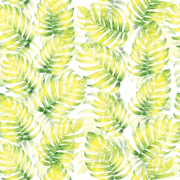 Palm Monstera Exotic Seamless Pattern 의줄임 말입니다 녹색의 백색의 Beach — 스톡 벡터