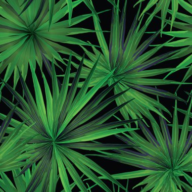 Palm Monstera Kusursuz Düzen. Siyah Yeşil Tropikal Yaz Arkaplanı. Plaj Ormanı Mayo Tasarımı Yaprakları. Lei Uyum. Retro Hawai baskısı. Egzotik doku. Botanik döşemesi.