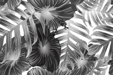 Siyah beyaz egzotik desen. Canavar ve amber çiçekleri tropik buket. Hawaii tişörtü ve mayo fayansı. Yatay romantik vahşi vektör egzotik fayans. Güzel bahar botanik tasarımı.