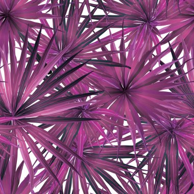 Palm Monstera Kusursuz Düzen. Magenta Tropik Yaz Arkaplanı. Plaj Ormanı Mayo Tasarımı Yaprakları. Lei Uyum. Retro Hawai baskısı. Tropik Tekstil dokusu. Botanik döşemesi.