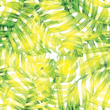 Palmiye Canavarı Egzotik Kusursuz Desen. Yeşil Beyaz Tropikal Yaz Arkaplanı. Plaj ve Orman Yaprakları Mayo Tasarımı için. Lei Uyum. Retro Hawai baskısı. Tropik Tekstil dokusu. Botanik döşemesi.