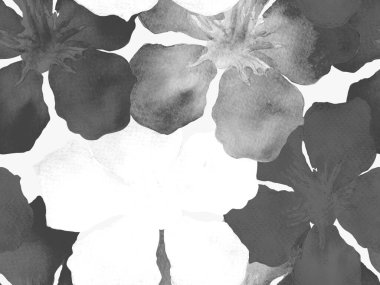 Hawaii suluboya deseni. Siyah ve beyaz tropikal desensiz çiçek deseni. Hibiscus ve zakkum Hawaii 'de. Aloha mayo tasarımı. Egzotik buket moda illüstrasyonu. Suluboya yatay fayans.
