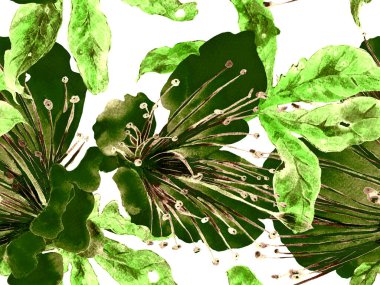 Cesur Çiçek Tasarımı. Yeşil Arkaplanda Büyük Hawaii Kusursuz Parmak izi. Büyük Hawaii Yaz Aquarelle Granadilla Sonsuz Arkaplan. Sanatsal Kalın Çiçek Tasarımı.