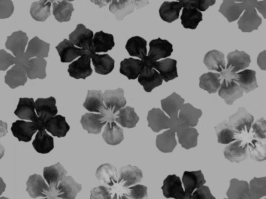 Hawaii suluboya deseni. Siyah ve beyaz tropikal desensiz çiçek deseni. Hibiscus ve zakkum Hawaii 'de. Aloha mayo tasarımı. Egzotik buket moda illüstrasyonu. Suluboya yatay fayans.