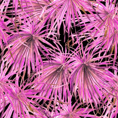 Tropikal desen. Suluboya egzotik çiçekler ve canavar yaprakları. Tertemiz siyah beyaz bitkiler. Yaz Hawaii suluboya geçmişi. Tropik palmiyeler, canavarlar, çiçek desenleri..