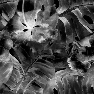 Tropikal desen. Suluboya egzotik çiçekler ve canavar yaprakları. Palm ve Hibiscus ormanları pürüzsüz. Bahar Hawaii suluboya geçmişi. Avuç içleri, canavarlar, mayo izleri..