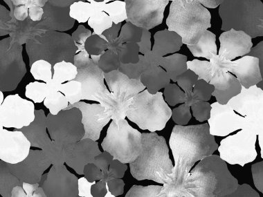 Hawaii suluboya deseni. Siyah ve beyaz tropikal desensiz çiçek deseni. Hibiscus ve zakkum Hawaii 'de. Aloha mayo tasarımı. Egzotik buket moda illüstrasyonu. Suluboya yatay fayans.