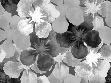 Hawaii suluboya deseni. Siyah ve beyaz tropikal desensiz çiçek deseni. Hibiscus ve zakkum Hawaii 'de. Aloha mayo tasarımı. Egzotik buket moda illüstrasyonu. Suluboya yatay fayans.