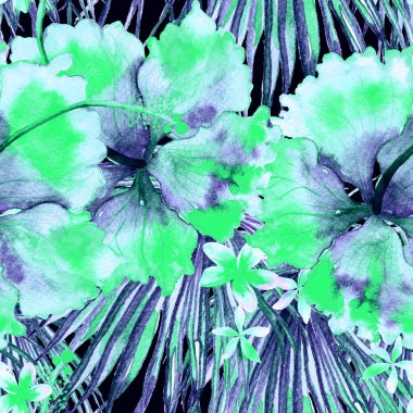 Tropikal desen. Suluboya egzotik çiçekler ve canavar yaprakları. Tertemiz siyah beyaz bitkiler. Yaz Hawaii suluboya geçmişi. Tropik palmiyeler, canavarlar, çiçek desenleri..