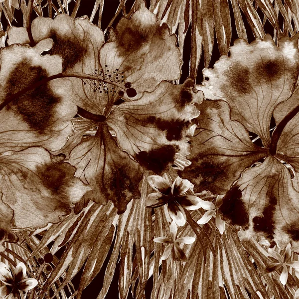 Tropikal desen. Suluboya egzotik çiçekler ve canavar yaprakları. Tertemiz siyah beyaz bitkiler. Yaz Hawaii suluboya geçmişi. Tropik palmiyeler, canavarlar, çiçek desenleri..