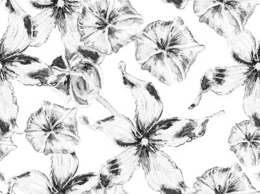 Biyo Jasmin Kusursuz Şablon. Tek renkli ve gri tonlu Vibrant Sakura ve Jasmine Print. Suluboya Turuncu Çiçek ve Yapraklar. Çiçek Ayurveda deseni. Yaz Vintage Arkaplanı.