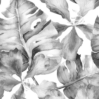 White Black Exotic pattern. Watercolor tropic leaves. Palm and Hibiscus plants in seamless pattern. Summer hawaiian watercolor background. Palms, monsteras, hibiscus swimwear print.