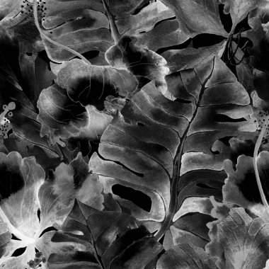 Yaz döngüsü. Suluboya tropik çiçekler ve canavar yaprakları. Palm ve Hibiscus ormanları pürüzsüz. Bahar Hawaii suluboya geçmişi. Avuç içleri, canavarlar, mayo izleri..