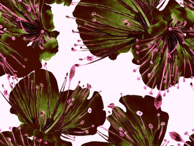 Bold Floral Print. Kahverengi Arkaplan 'da Büyük Egzotik Kusursuz Parmak izi. Büyük Hawaii Baharı Maracuja Sonsuz Arkaplanı. Moda Kalın Çiçek Yazdırma.