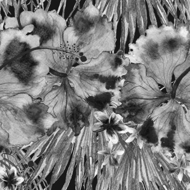 Tropikal desen. Suluboya egzotik çiçekler ve canavar yaprakları. Tertemiz siyah beyaz bitkiler. Yaz Hawaii suluboya geçmişi. Tropik palmiyeler, canavarlar, çiçek desenleri..