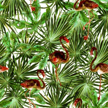 Flamingo deseni. Tropik yaz yeşili kırmızı iz. Kuşlarla dolu egzotik bahar tekstil arka planı. Moda Hawai Ormanı tekrar eden pürüzsüz fayanslar. Palm Botanik mayo tasarımı. Miami Vahşi Hayatı.