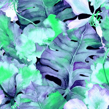 Tropikal desen. Suluboya egzotik çiçekler ve canavar yaprakları. Palm ve Hibiscus ormanları pürüzsüz. Yaz Hawaii suluboya geçmişi. Tropik palmiyeler, canavarlar, çiçek desenleri..