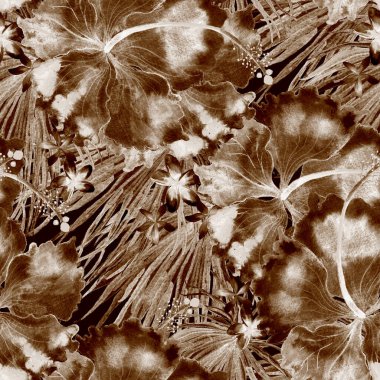 Tropikal desen. Suluboya egzotik çiçekler ve canavar yaprakları. Tertemiz siyah beyaz bitkiler. Yaz Hawaii suluboya geçmişi. Tropik palmiyeler, canavarlar, çiçek desenleri..