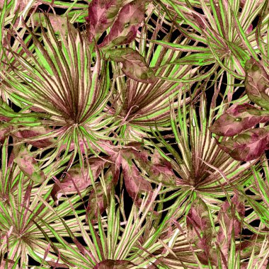 Tropikal desen. Suluboya egzotik çiçekler ve canavar yaprakları. Pürüzsüz siyah morumsu bitkiler. Yaz Hawaii suluboya geçmişi. Tropik palmiyeler, canavarlar, çiçek desenleri..