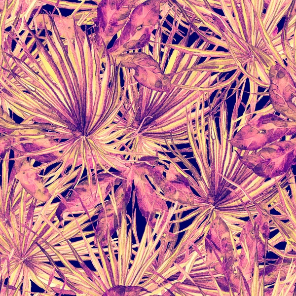 Τροπικό Μοτίβο Υδατογραφία Εξωτικά Λουλούδια Και Φύλλα Monstera Μαύρα Φυτά — Φωτογραφία Αρχείου