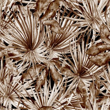 Tropikal desen. Suluboya egzotik çiçekler ve canavar yaprakları. Tertemiz siyah beyaz bitkiler. Yaz Hawaii suluboya geçmişi. Tropik palmiyeler, canavarlar, çiçek desenleri..