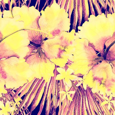 Tropikal desen. Suluboya egzotik çiçekler ve canavar yaprakları. Tertemiz beyaz kırmızı bitkiler. Yaz Hawaii suluboya geçmişi. Tropik palmiyeler, canavarlar, çiçek desenleri..