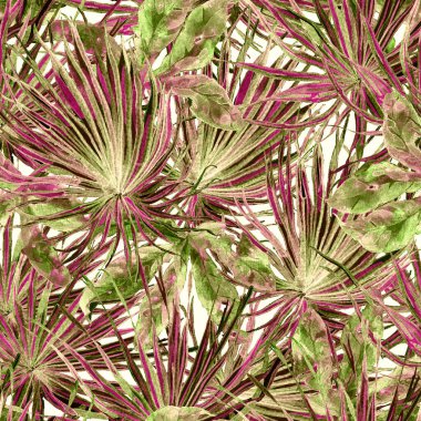 Tropikal desen. Suluboya egzotik çiçekler ve canavar yaprakları. Kırmızı yeşil bitkiler pürüzsüz desende. Yaz Hawaii suluboya geçmişi. Tropik palmiyeler, canavarlar, çiçek desenleri..