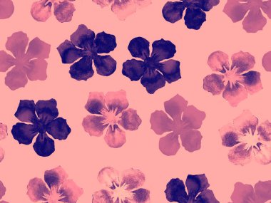 Hawaii suluboya deseni. Pembe kırmızı tropikal desensiz çiçek deseni. Hibiscus ve zakkum Hawaii 'de. Aloha mayo tasarımı. Egzotik buket moda illüstrasyonu. Suluboya yatay fayans.