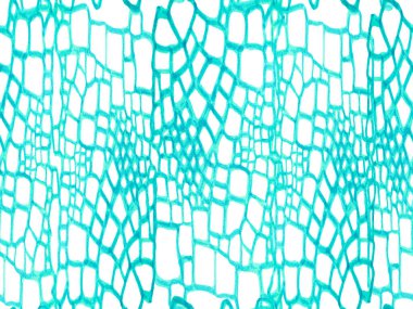 Afrika Deri Çizimi. Green ve Aqua Menthe Timsah Kapanış Arkaplanı. El çizimi timsah deseni. Timsah Kusursuz Şablon. Yırtıcı Hayvan Derisi İzi. Ejder Derisi Taklidi.