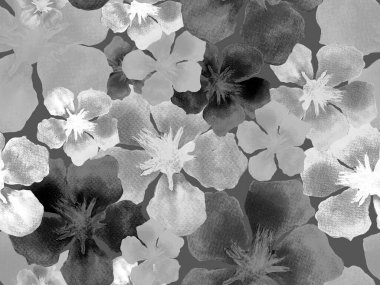 Hawaii suluboya deseni. Siyah ve beyaz tropikal desensiz çiçek deseni. Hibiscus ve zakkum Hawaii 'de. Aloha mayo tasarımı. Egzotik buket moda illüstrasyonu. Suluboya yatay fayans.