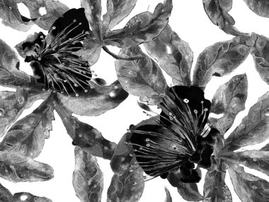 Cesur Çiçek Tasarımı. Siyah ve Beyaz Arkaplanda Büyük Orman Kusursuz Parmak izi. Büyük Hawaii Bahar Aquarelle Maracuja Sonsuz Arkaplanı. Sanatsal Kalın Çiçek Tasarımı.