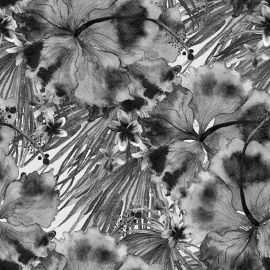 Tropikal desen. Suluboya egzotik çiçekler ve canavar yaprakları. Tertemiz siyah beyaz bitkiler. Yaz Hawaii suluboya geçmişi. Tropik palmiyeler, canavarlar, çiçek desenleri..