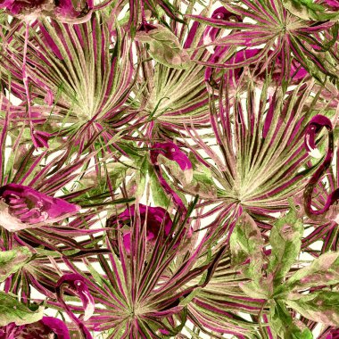 Flamingo deseni. Tropik yaz beyaz kırmızı baskısı. Kuşlarla dolu egzotik bahar canavarları. Moda Hawai Ormanı tekrar eden pürüzsüz fayanslar. Palm Botanik mayo tasarımı. Miami Vahşi Hayatı.