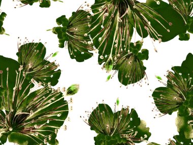 Cesur soyut çiçek deseni. Yeşil Arkaplanda Büyük Hawaii Kusursuz Parmak izi. Büyük Tropik Bahar Kova Lilikoi Sonsuz Arkaplanı. Modern Kalın Soyut Çiçek Deseni.