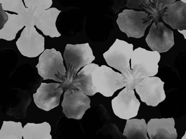 Hawaii suluboya deseni. Siyah ve beyaz tropikal desensiz çiçek deseni. Hibiscus ve zakkum Hawaii 'de. Aloha mayo tasarımı. Egzotik buket moda illüstrasyonu. Suluboya yatay fayans.