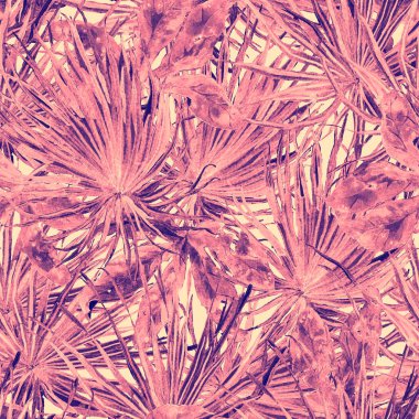 Tropikal desen. Suluboya egzotik çiçekler ve canavar yaprakları. Tertemiz beyaz kırmızı bitkiler. Yaz Hawaii suluboya geçmişi. Tropik palmiyeler, canavarlar, çiçek desenleri..
