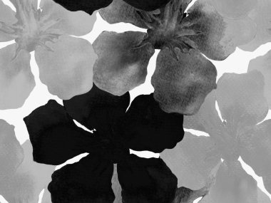 Hawaii suluboya deseni. Siyah ve beyaz tropikal desensiz çiçek deseni. Hibiscus ve zakkum Hawaii 'de. Aloha mayo tasarımı. Egzotik buket moda illüstrasyonu. Suluboya yatay fayans.