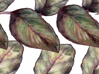 Suluboya Yapraksız Kalıp. Gri pullu ve Tranquil Dawn Egzotik Hawaii Tasarımı. Döşeme dokusu. Tropikal Yapraklı Mayo İzi. Suluboya Çiçek Geçmişi. Tropik Yaz İlişkisi.