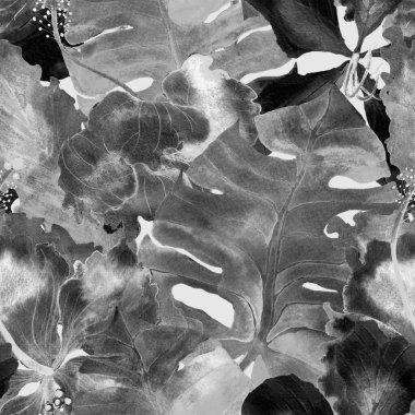 Tropikal desen. Suluboya egzotik çiçekler ve canavar yaprakları. Palm ve Hibiscus ormanları pürüzsüz. Bahar Hawaii suluboya geçmişi. Avuç içleri, canavarlar, mayo izleri..