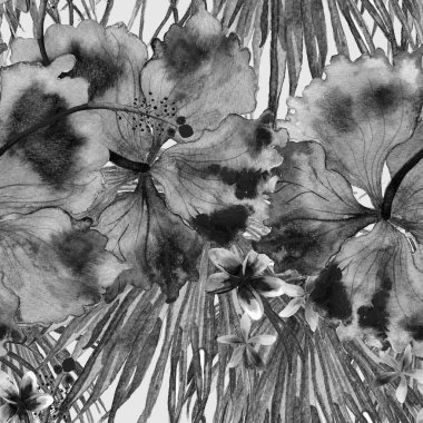 Tropikal desen. Suluboya egzotik çiçekler ve canavar yaprakları. Tertemiz siyah beyaz bitkiler. Yaz Hawaii suluboya geçmişi. Tropik palmiyeler, canavarlar, çiçek desenleri..