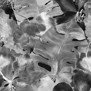 Tropikal desen. Suluboya egzotik çiçekler ve canavar yaprakları. Palm ve Hibiscus bitkileri kusursuz desende. Bahar Hawaii suluboya geçmişi. Avuç içleri, canavarlar, mayo izleri..